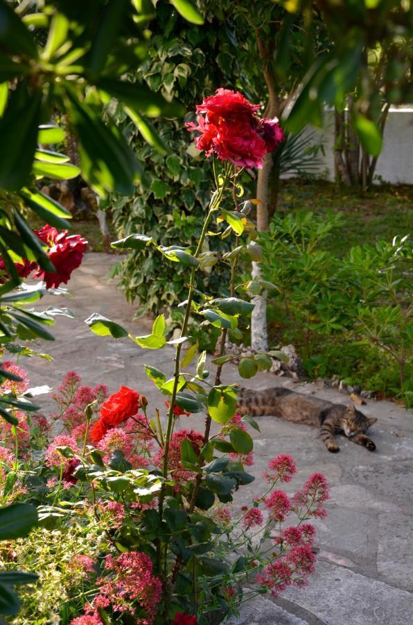 Appartamento Kostas' Garden Roda  Esterno foto